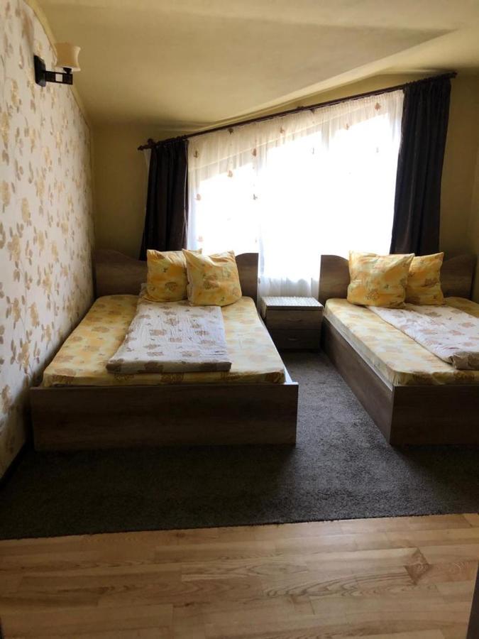 Pensiunea Mirela Pestera Ursilor Chiscau Exterior foto